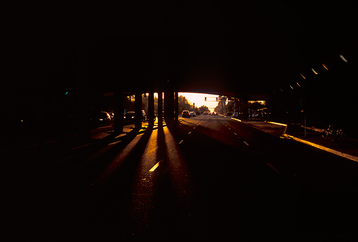 http://www.cedrickeymenier.com/files/gimgs/th-105_110205-Phoenix.jpg