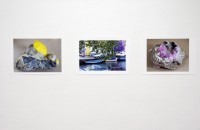 http://www.cedrickeymenier.com/files/gimgs/th-122_DSC_9154.jpg
