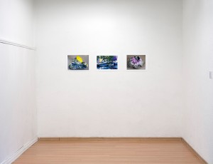 http://www.cedrickeymenier.com/files/gimgs/th-156_DSC_9146.jpg