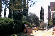 http://www.cedrickeymenier.com/files/gimgs/th-175_110218.jpg