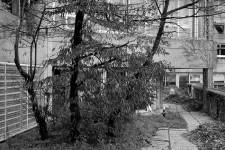 http://www.cedrickeymenier.com/files/gimgs/th-178_DSC_1859.jpg