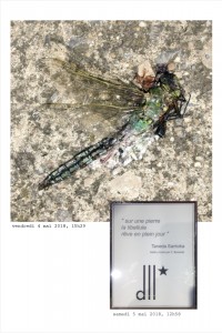 http://www.cedrickeymenier.com/files/gimgs/th-210_APERTO_FLYER-web.jpg