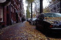 http://www.cedrickeymenier.com/files/gimgs/th-59_nl025a.jpg