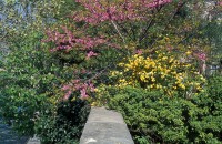 http://www.cedrickeymenier.com/files/gimgs/th-69_030701.jpg