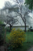 http://www.cedrickeymenier.com/files/gimgs/th-69_030819.jpg