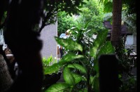 http://www.cedrickeymenier.com/files/gimgs/th-83_060902.jpg
