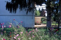 http://www.cedrickeymenier.com/files/gimgs/th-84_061628.jpg