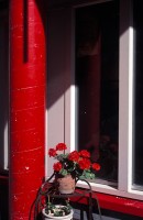 http://www.cedrickeymenier.com/files/gimgs/th-88_072229.jpg